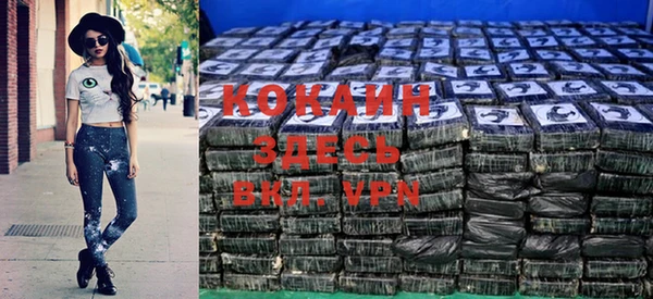 соль ск Алексин