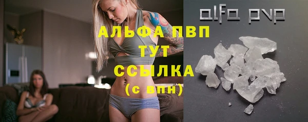 дмт Переславль-Залесский