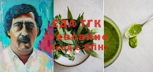 индика Алзамай