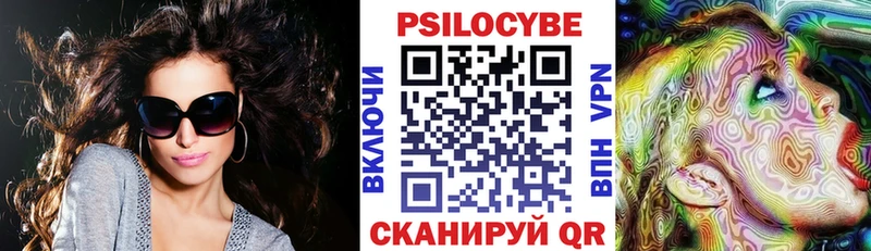 Галлюциногенные грибы Psilocybe  Рошаль 